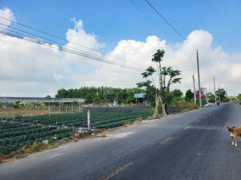 Bán đất xã Đất Đỏ - 506m2 sẵn 80m2 thổ cư