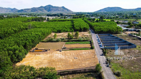 Đất nền xã Phước Hải - Gần đường 44B diện tích 154m2 sẵn 80m2 thổ cư