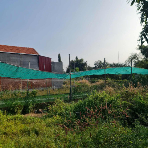 Bán đất Phước Hải gần ngã 4 đường 44b và Châu Văn Biếc. Dt 136m2 giá chỉ 1,5 tỷ