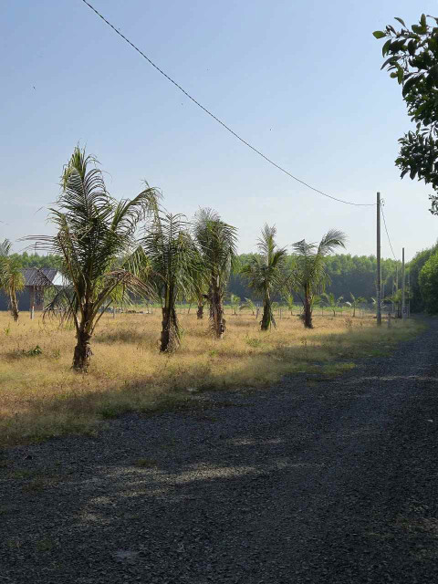 Bán đất vườn cạnh khu công nghiệp Đất Đỏ. Diện tích 1324m2 hai mặt tiền giá chỉ 1,45 tỷ