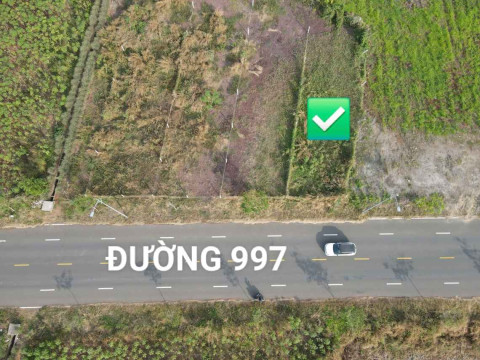 Bán đất cạnh kcn Đất Đỏ. Mặt đường 997, diện tích 308m2 10 x 30 giá chỉ 1,8 tỷ