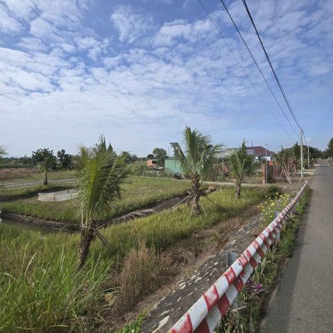 Bán đất Đất Đỏ 2596m2 cạnh kcn Đất Đỏ làm nhà vườn đẹp