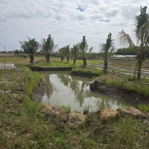 Bán đất Đất Đỏ 2596m2 cạnh kcn Đất Đỏ làm nhà vườn đẹp