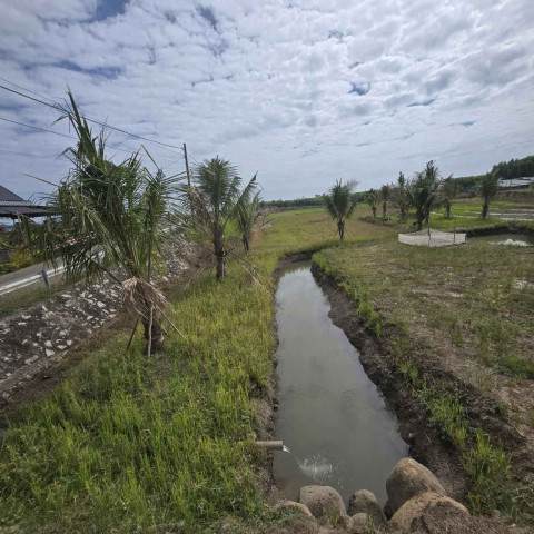 Bán đất Đất Đỏ 2596m2 cạnh kcn Đất Đỏ làm nhà vườn đẹp