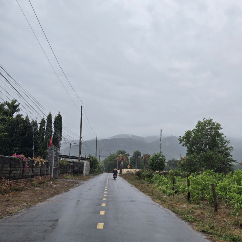 Bán đất Phước Hải gần hồ Sở Bông. Diện tích 10 x 30 shr, có tc giá chỉ 2,5 tỷ